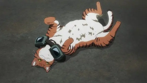 ニャイリビ・アニメ化の裏側 ～可愛いにキリがない仕事場～ - 京都国際