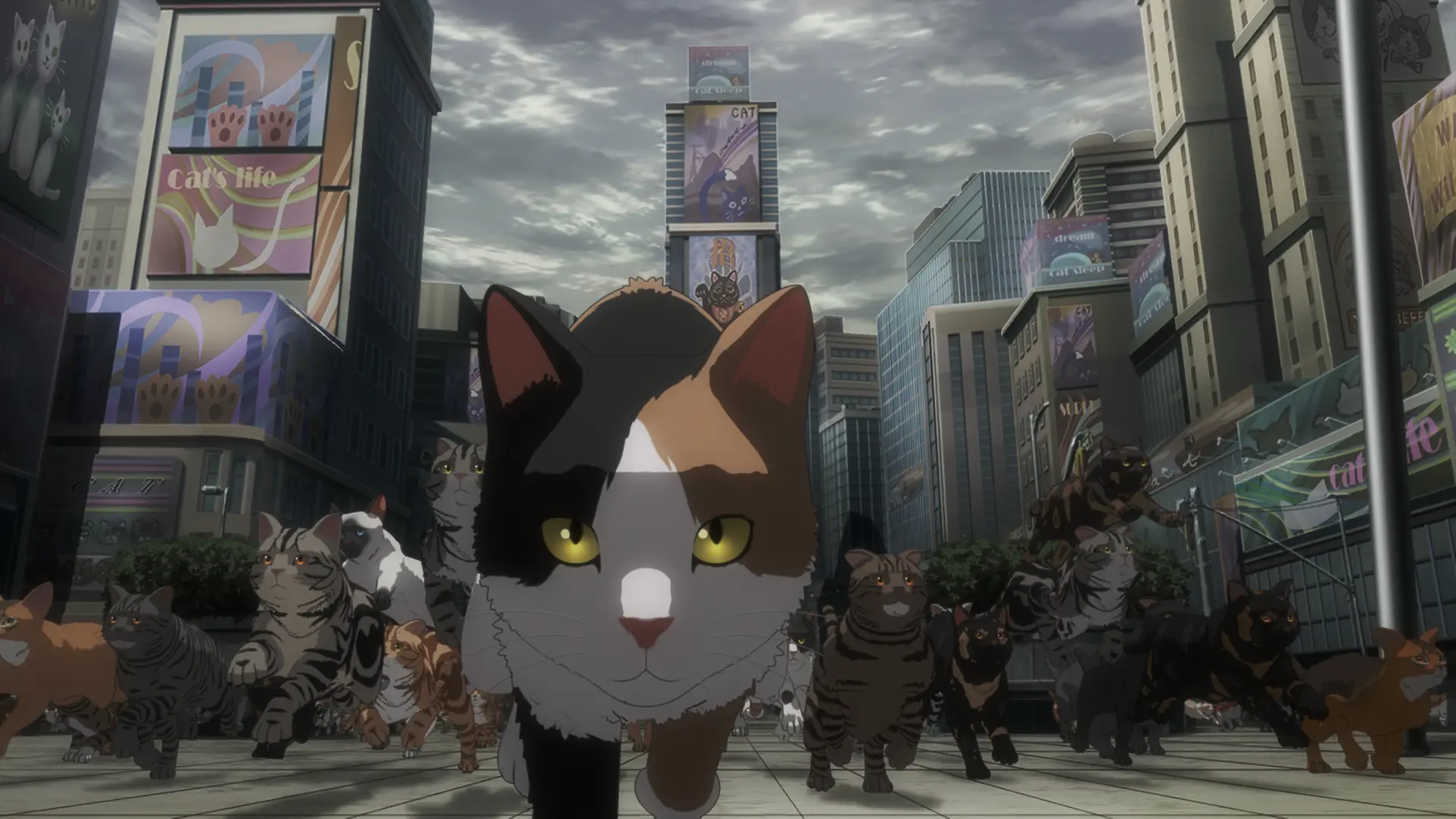 ニャイリビ・アニメ化の裏側 ～可愛いにキリがない仕事場～ - 京都国際